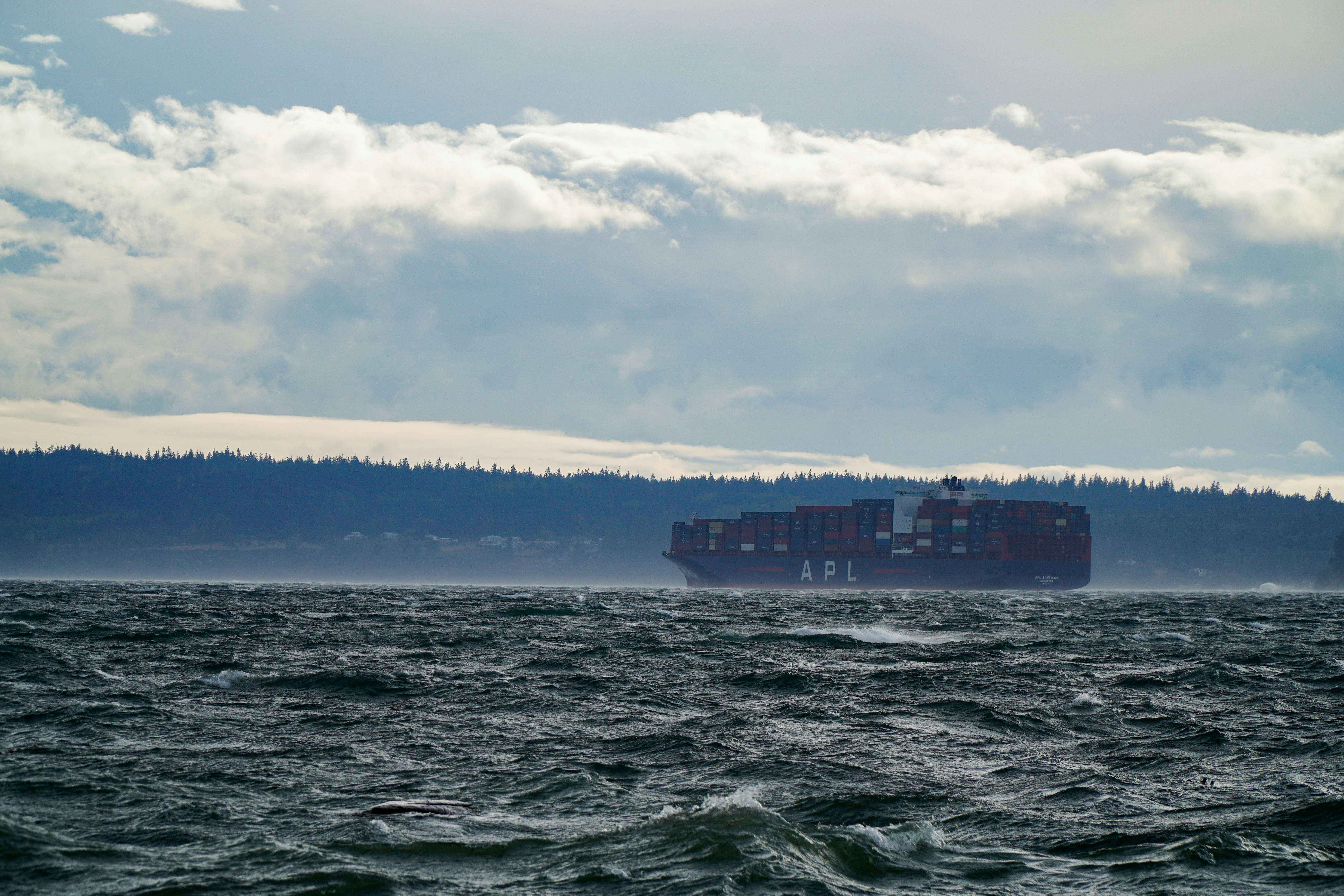 استيراد الأشجار والنباتات